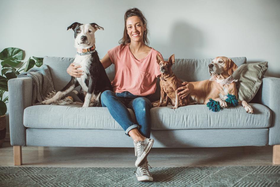 Pet sitting